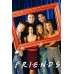 FRIENDS PICTURE FRAME PHOTO OFFICIAL ORIGINAL TV SHOW PRINT PREMIUM POSTER