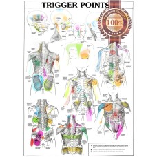 TRIGGER POINTS PART 1 ANATOMICAL DIAGRAM CHART ANATOMY PRINT PREMIUM POSTER