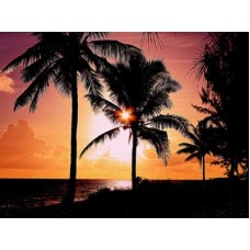LARGE SUNSET ON THE BEACH OASIS BEAUTIFUL ART PHOTO PRINT PREMIUM POSTER