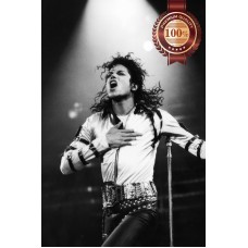 MICHAEL JACKSON CONCERT SINGING MUSIC PHOTO HOME WALL PRINT PREMIUM POSTER