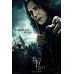 HARRY POTTER AND THE DEATHLY HALLOWS SNAPE HP7 PART 1 2011 MOVIE PREMIUM POSTER