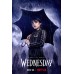 WEDNESDAY ADDAMS FAMILY TV SHOW NETFLIX ORIGINAL OFFICIAL PRINT PREMIUM POSTER