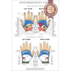 HAND REFLEXOLOGY CHART SYSTEM ANATOMICAL DIAGRAM GUIDE PRINT PREMIUM POSTER
