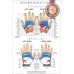 HAND REFLEXOLOGY CHART SYSTEM ANATOMICAL DIAGRAM GUIDE PRINT PREMIUM POSTER