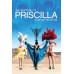 PRISCILLA QUEEN OF THE DESERT 1994 90 ORIGINAL CINEMA MOVIE PRINT PREMIUM POSTER