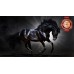 BLACK STALLION IN SPOT LIGHT GALLOPING HORSE ANIMAL PRINT PREMIUM POSTER