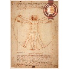 ORIGINAL VITRUVIAN MAN LEONARDO DA VINCI WALL ART PRINT PREMIUM POSTER