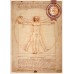 ORIGINAL VITRUVIAN MAN LEONARDO DA VINCI WALL ART PRINT PREMIUM POSTER
