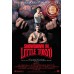 SHOWDOWN IN LITTLE TOKYO 1991 90s ORIGINAL MOVIE CINEMA PRINT PREMIUM POSTER