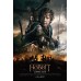 THE HOBBIT THE BATTLE OF FIVE ARMIES V2 CAST MOVIE CINEMA PRINT PREMIUM POSTER