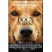 A DOG'S PURPOSE 2017 ORIGINAL OFFICIAL CINEMA MOVIE FILM PRINT PREMIUM POSTER