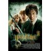 HARRY POTTER CHAMBER OF SECRETS ORIGINAL OFFICIAL MOVIE PRINT PREMIUM POSTER