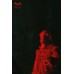 THE BATMAN RIDDLER 2022 DC ORIGINAL OFFICIAL CINEMA MOVIE PRINT PREMIUM POSTER