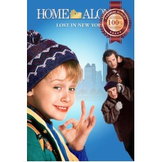 HOME ALONE 2 1990 90s ORIGINAL CLASSIC DECOR MOVIE HOME PRINT PREMIUM POSTER