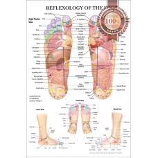 REFLEXOLOGY OF THE FOOT ACUPUNCTURE POINT DIAGRAM ANATOMY CHART PREMIUM POSTER
