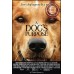 A DOG'S PURPOSE 2017 ORIGINAL OFFICIAL CINEMA MOVIE FILM PRINT PREMIUM POSTER